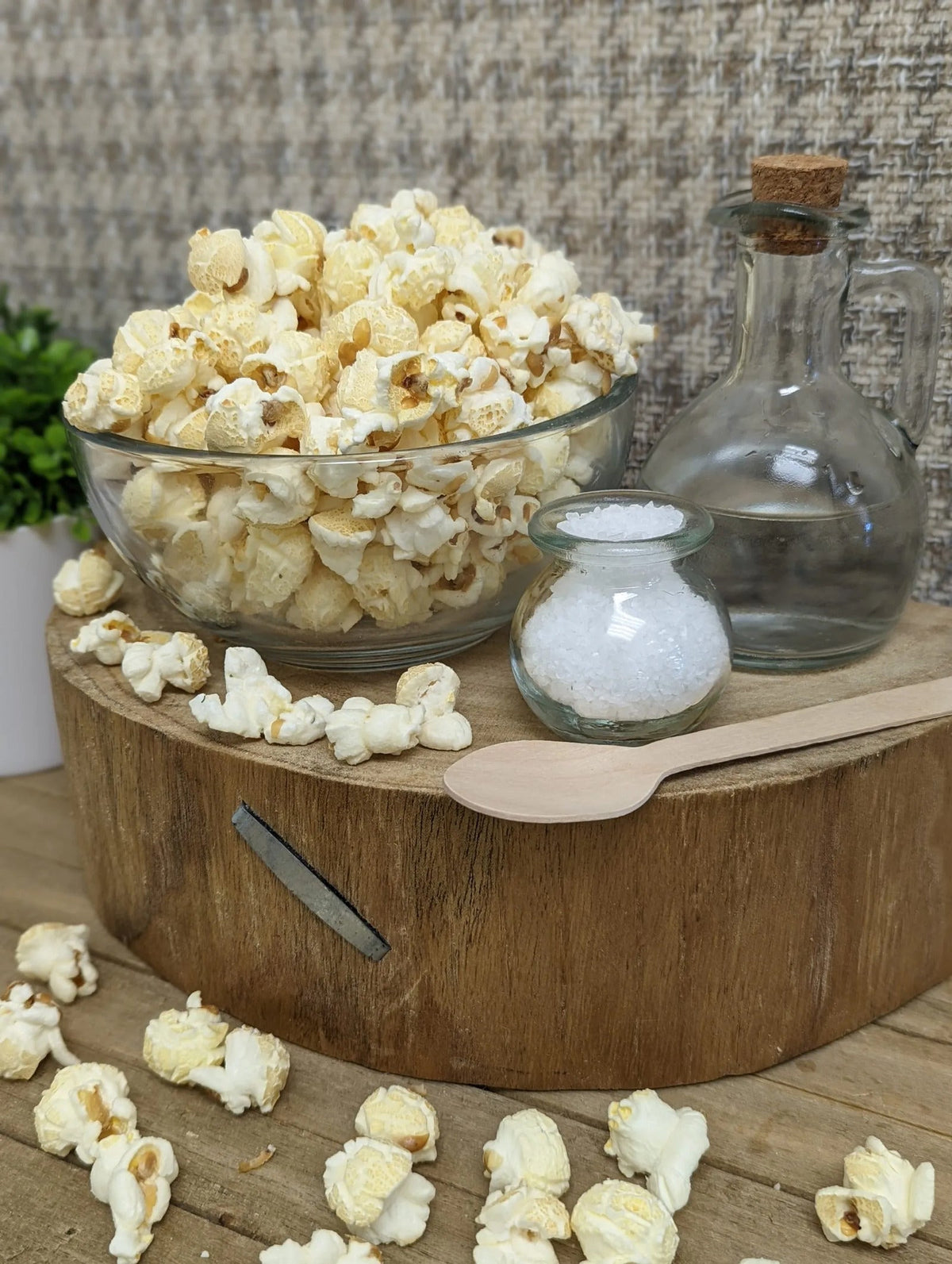 Salt and Vinegar The Popcorn Loft savory cheese popcorn cups with salt and vinegar seasoning coating